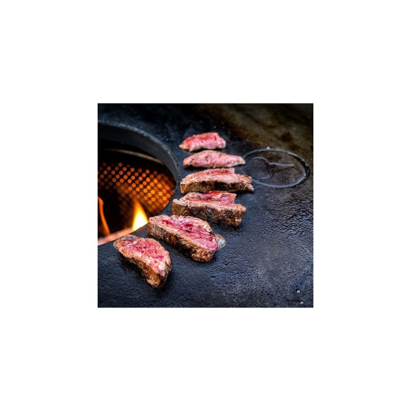 Moesta BBQ Disk Plancha, Feuerplatte für Kugelgrills, Grillplatte(anthrazit, einzeln)