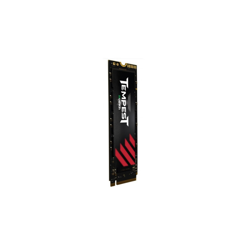 Mushkin Tempest 512 GB, SSD(PCIe 3.0 x4, NVMe 1.4, M.2 2280)