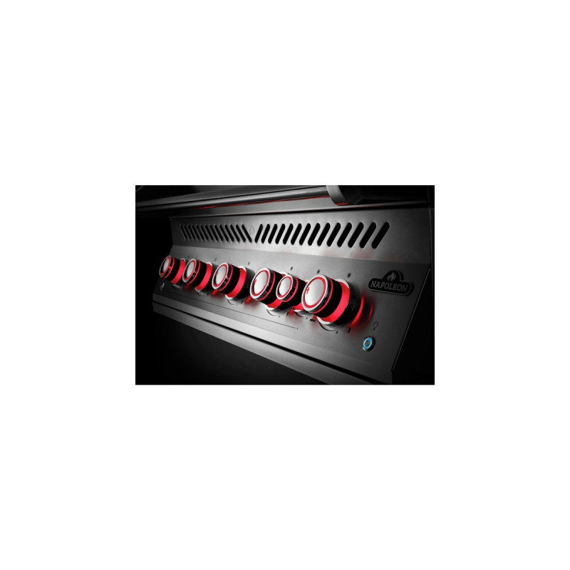 Napoleon Gasgrill 700-Series 38