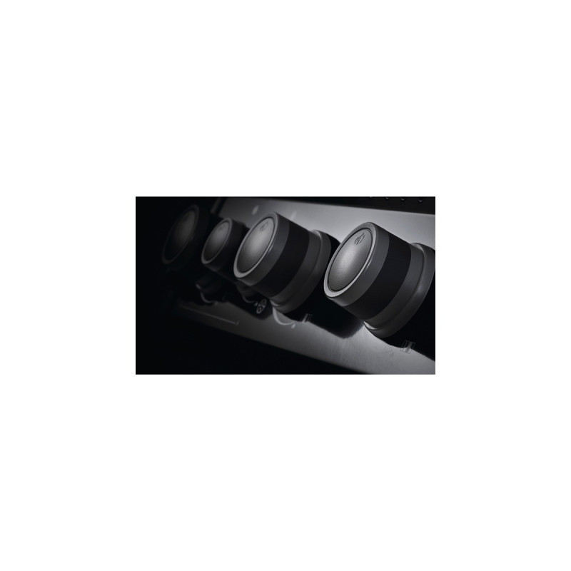 Napoleon Gasgrill Rogue XT 425(schwarz, mit SIZZLE ZONE)