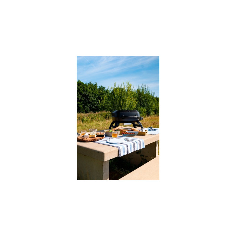 Napoleon Gasgrill TRAVELQ 240(schwarz)