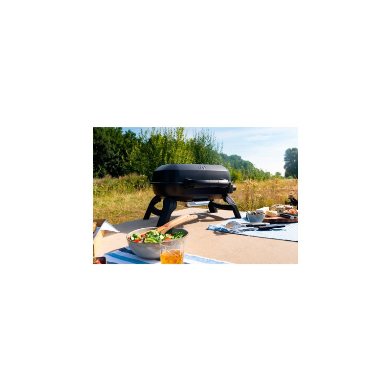 Napoleon Gasgrill TRAVELQ 240(schwarz)