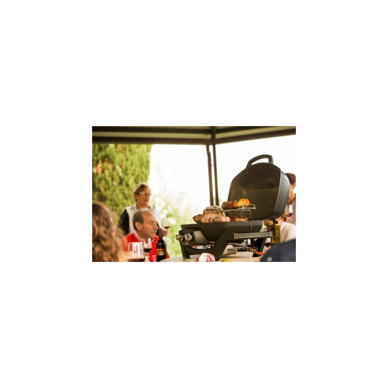 Napoleon Gasgrill TravelQ PRO285(schwarz)