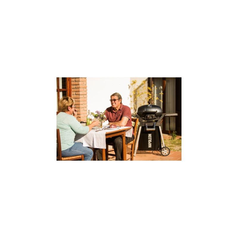 Napoleon Gasgrill TravelQ PRO285(schwarz)