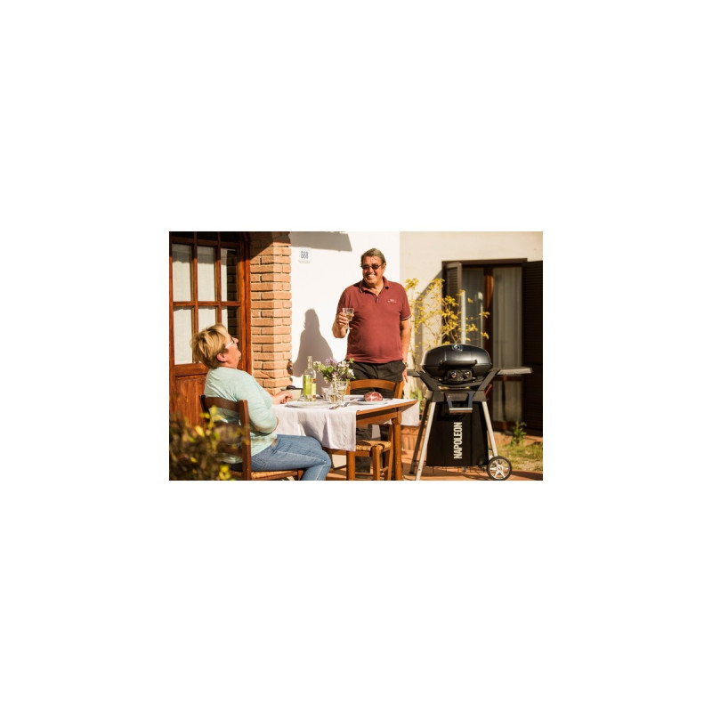 Napoleon Gasgrill TravelQ PRO285(schwarz)