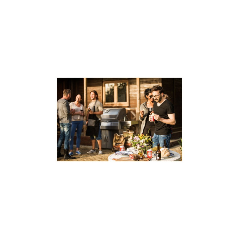 Napoleon Holzkohlegrill PRO605CSS(edelstahl)