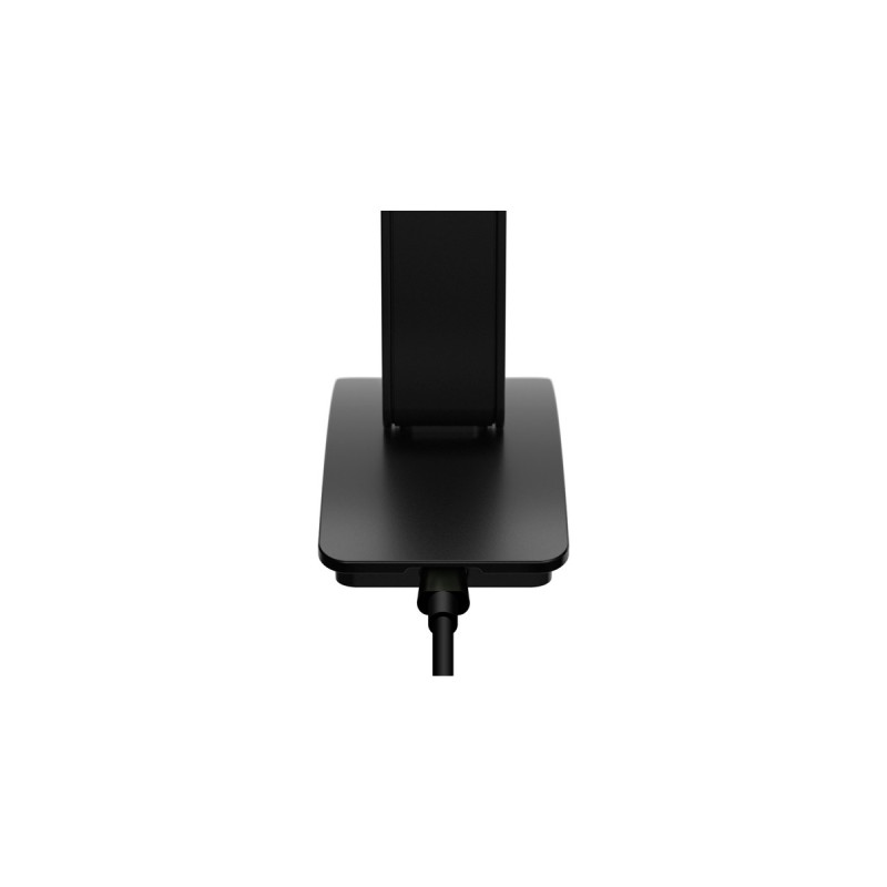 Neat Skyline Black, Mikrofon(schwarz, USB-C)