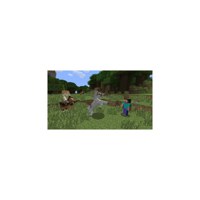Nintendo Minecraft, Nintendo Switch-Spiel(Nintendo Switch Edition)