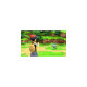 Nintendo Pokémon Leuchtende Perle, Nintendo Switch