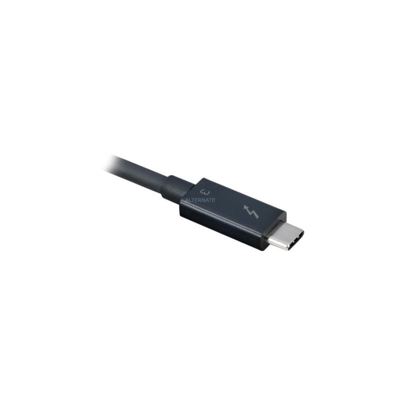 OWC Thunderbolt 3/2x DisplayPort Adapter(schwarz)