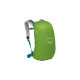 Osprey Hikelite 18, Rucksack(grün, 18 Liter)
