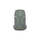 Osprey Hikelite 28, Rucksack(olivgrün, 28 Liter, Größe M/L)