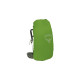 Osprey Kestrel 58 , Rucksack(olivgrün,56 Liter / Größe S/M )