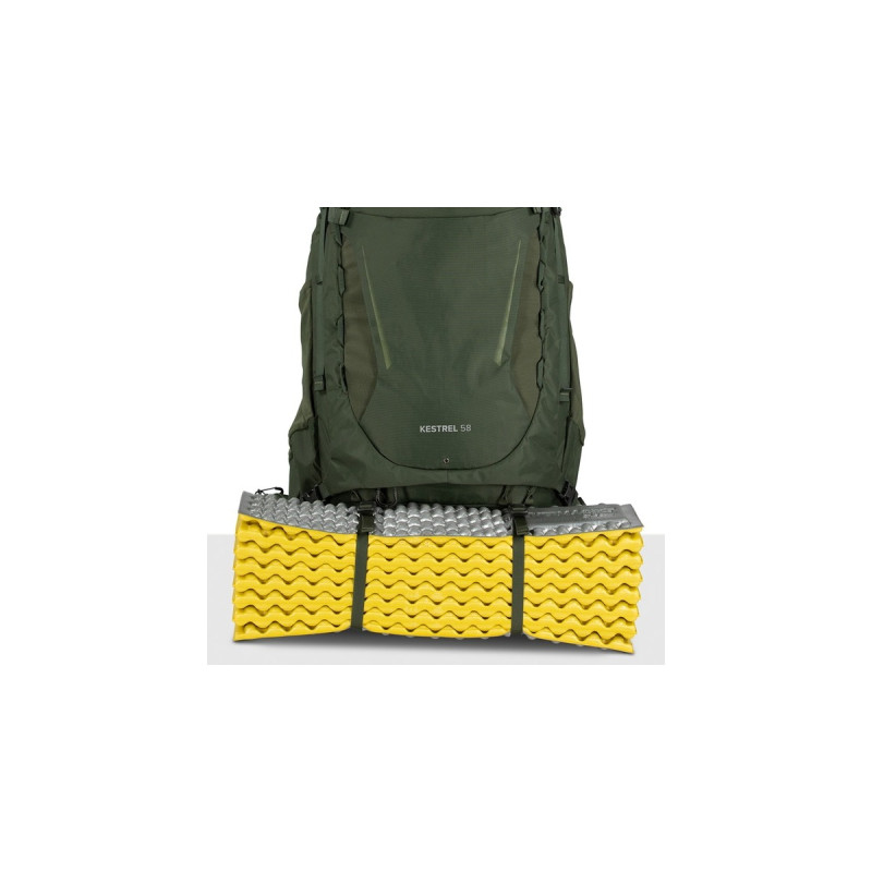 Osprey Kestrel 58 , Rucksack(olivgrün,56 Liter / Größe S/M )