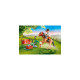 PLAYMOBIL 70516 Country Sammelpony 
