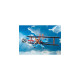 PLAYMOBIL 70831 Air Stuntshow Doppeldecker 