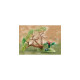 PLAYMOBIL 71011 Wiltopia Tierrettungs-Quad, Konstruktionsspielzeug