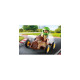 PLAYMOBIL 71480 specialPLUS Kind mit Kart, Konstruktionsspielzeug