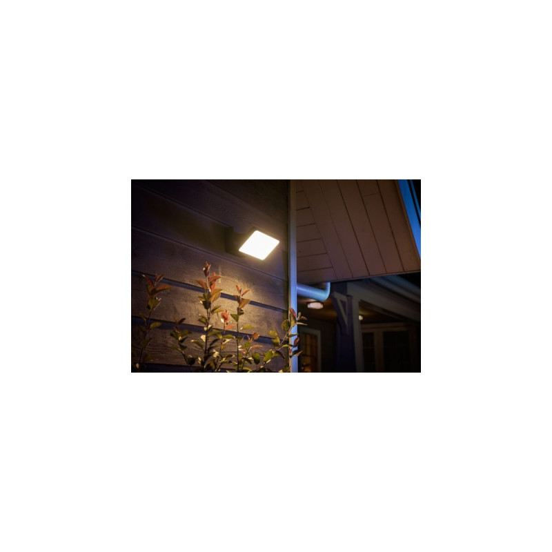 Philips Hue White & Color Ambiance Discover Flutlicht, LED-Leuchte(schwarz)