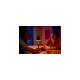 Philips Hue White & Color Ambiance Go tragbare Tischleuchte(schwarz)