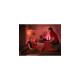 Philips Hue White & Color Ambiance Play Lightbar, LED-Leuchte(weiß, Doppelpack)