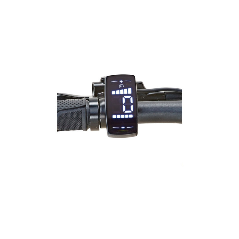 Prophete Urbanicer 21.EMU.10, Pedelec(schwarz (matt), 28