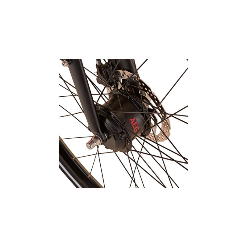 Prophete Urbanicer 21.EMU.10, Pedelec(schwarz (matt), 28