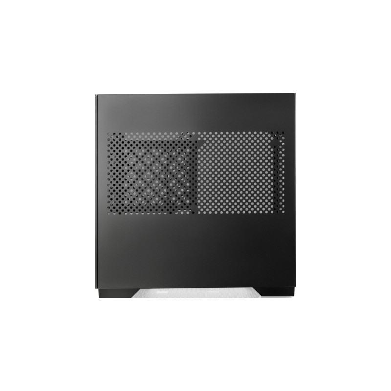 RAIJINTEK PAEAN MINI, Tower-Gehäuse(schwarz, Tempered Glass)