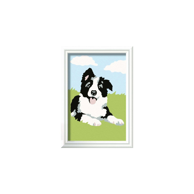 Ravensburger Malen nach Zahlen - Border Collie Welpe