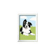 Ravensburger Malen nach Zahlen - Border Collie Welpe