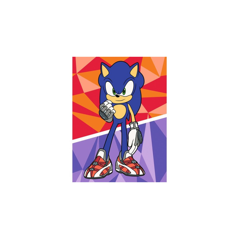 Ravensburger Malen nach Zahlen - Sonic: New Yoke City