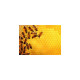 Ravensburger Puzzle Bienen(1000 Teile)