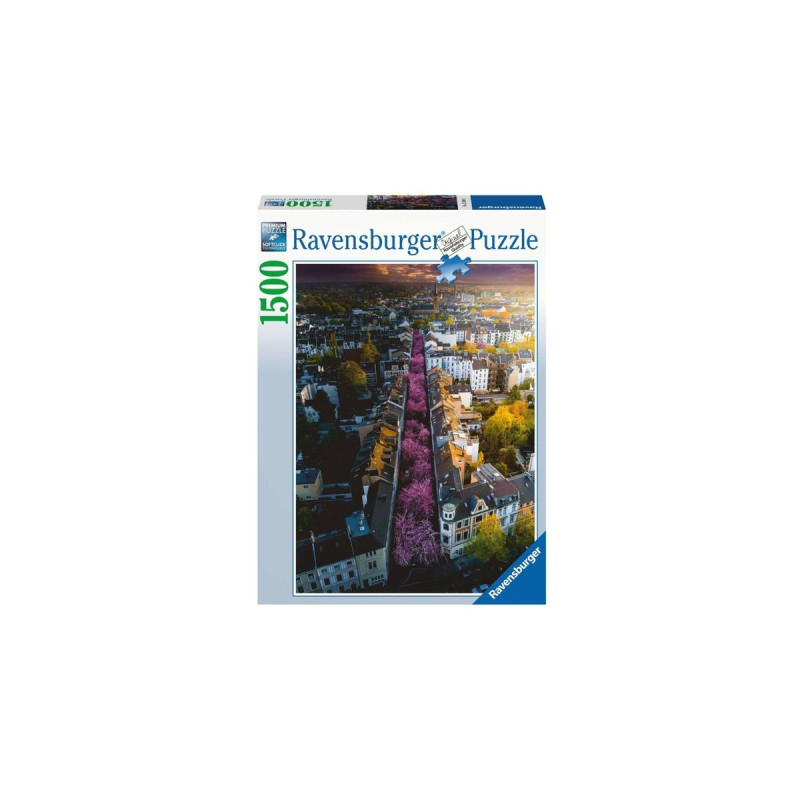 Ravensburger Puzzle: Blühendes Bonn (1500 Teile)