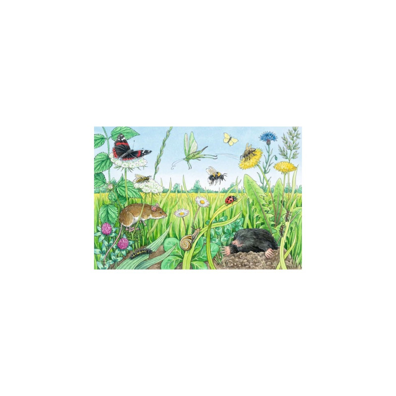 Ravensburger Wieso? Weshalb? Warum? Tiere im Wald und auf der Wiese, Puzzle(2x 12 Teile, mit Wissensposter)