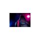 Razer Enki, Gaming-Stuhl(schwarz)