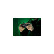 Razer Wolverine V2 Chroma, Gamepad(schwarz)