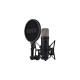 Rode Microphones NT1 5th Gen, Mikrofon(schwarz, USB-C, XLR)