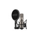 Rode Microphones NT1 5th Gen, Mikrofon(silber, USB-C, XLR)