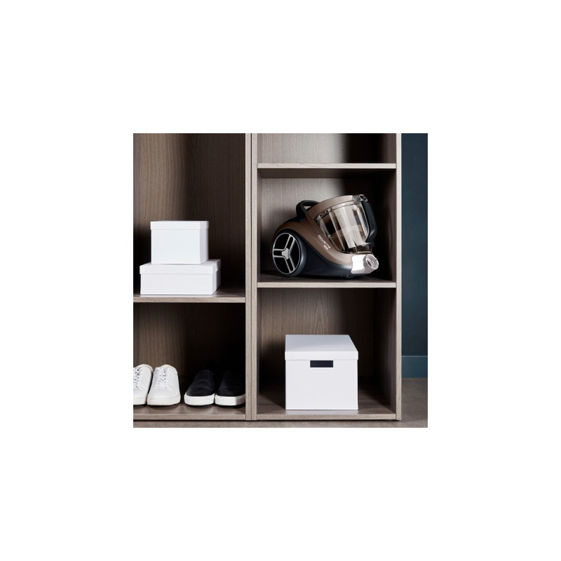 Rowenta Compact Power XXL Animal RO4B50, Bodenstaubsauger(grau/schwarz)