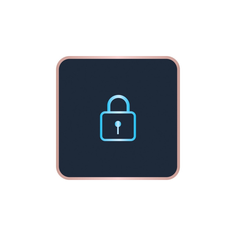 Rowenta Optiliss SF 3210, Haarglätter(weiß/schwarz)