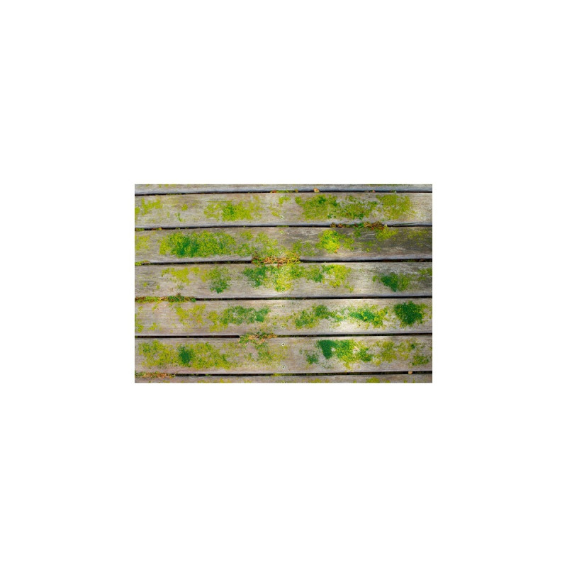 Ryobi Akku-Oberflächenreiniger RY18PCB-0, 18Volt, Hartbodenreiniger(grün/schwarz, ohne Akku und Ladegerät)