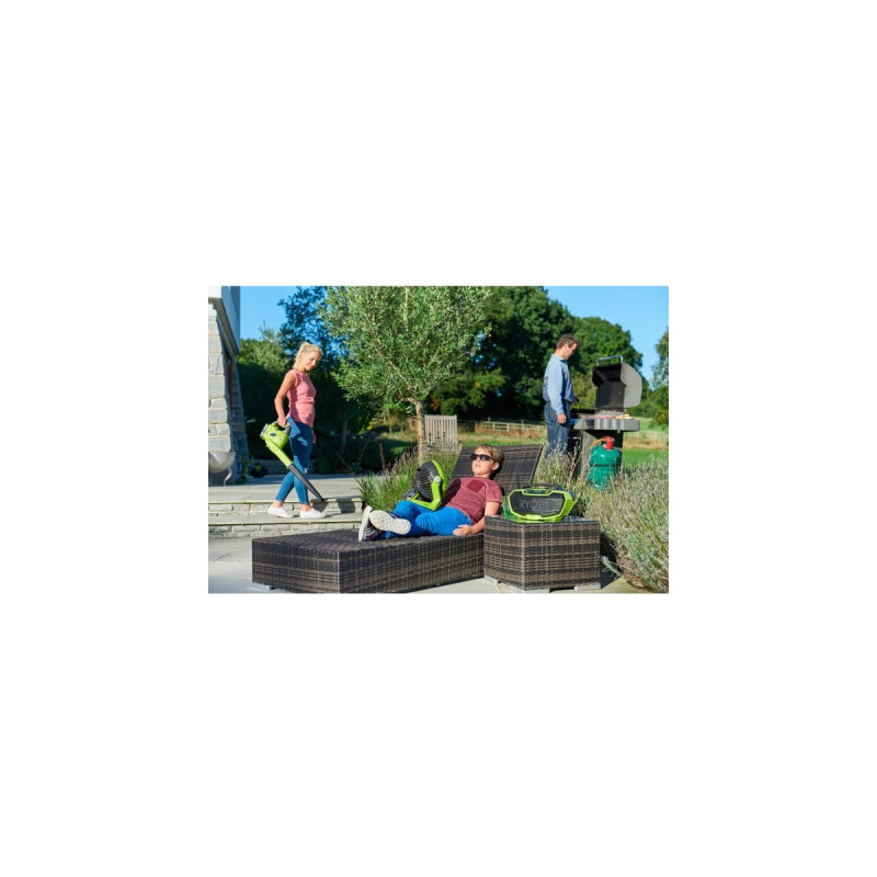 Ryobi R18RH-0, Radio(grün/schwarz, AUX, Bluetooth, USB, FM/AM)