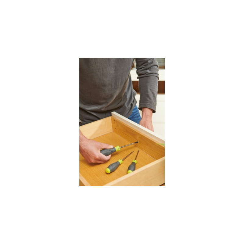 Ryobi Schraubendreher-Set RSD1PH2S, 3-teilig(grün/grau, 1x PH2 / 1x SL5,5 / 1x SL4)