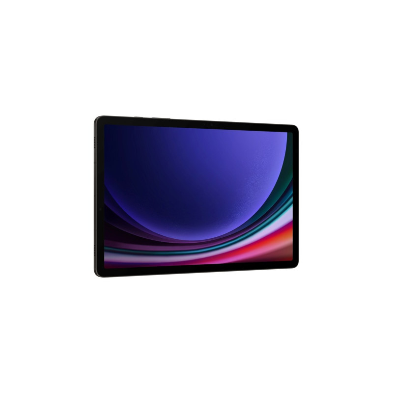 SAMSUNG Galaxy Tab S9 256GB, Tablet-PC(graphit, Android 13)