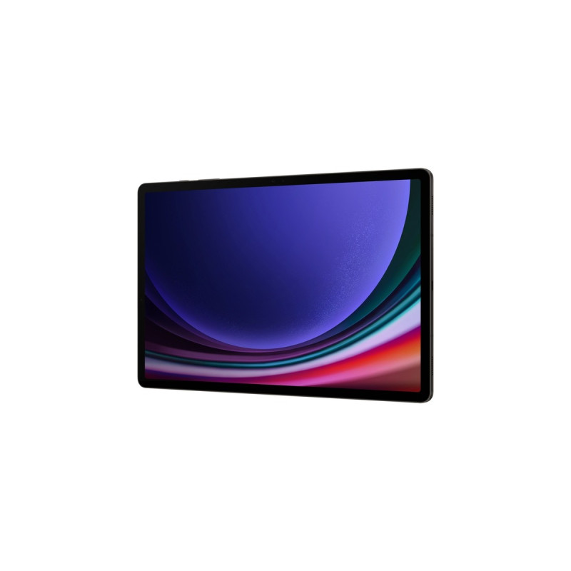 SAMSUNG Galaxy Tab S9+ 256GB, Tablet-PC(graphit, Android 13)