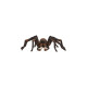 Schleich Harry Potter Aragog, Spielfigur