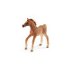 Schleich Horse Club Fohlen mit Decke, Spielfahrzeug
