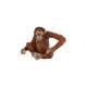 Schleich Wild Life Orang-Utan Weibchen, Spielfigur