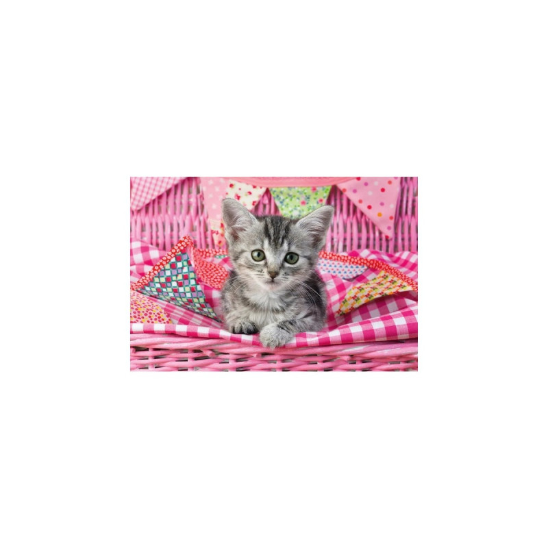 Schmidt Spiele Meine liebsten Haustierbabys, Puzzle(3x 48 Teile)