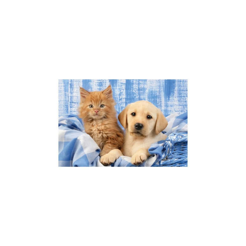 Schmidt Spiele Meine liebsten Haustierbabys, Puzzle(3x 48 Teile)